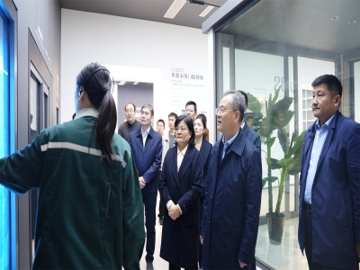 省工信廳總工程師、二級(jí)巡視員孫京軍一行 蒞臨卓越精工調(diào)研指導(dǎo)